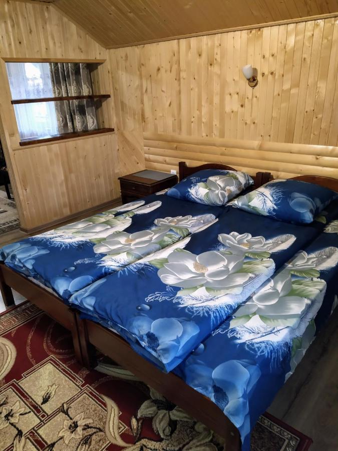 Садиба "У Валентини" Iablunîțea Exterior foto