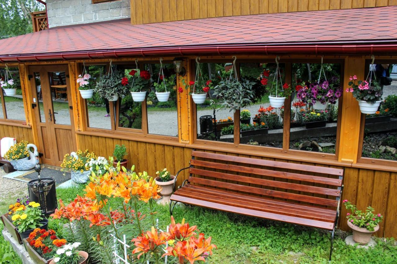 Садиба "У Валентини" Iablunîțea Exterior foto
